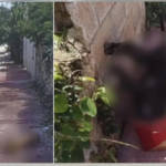 Hallan muerta y en estado de descomposición a una mujer en Mérida